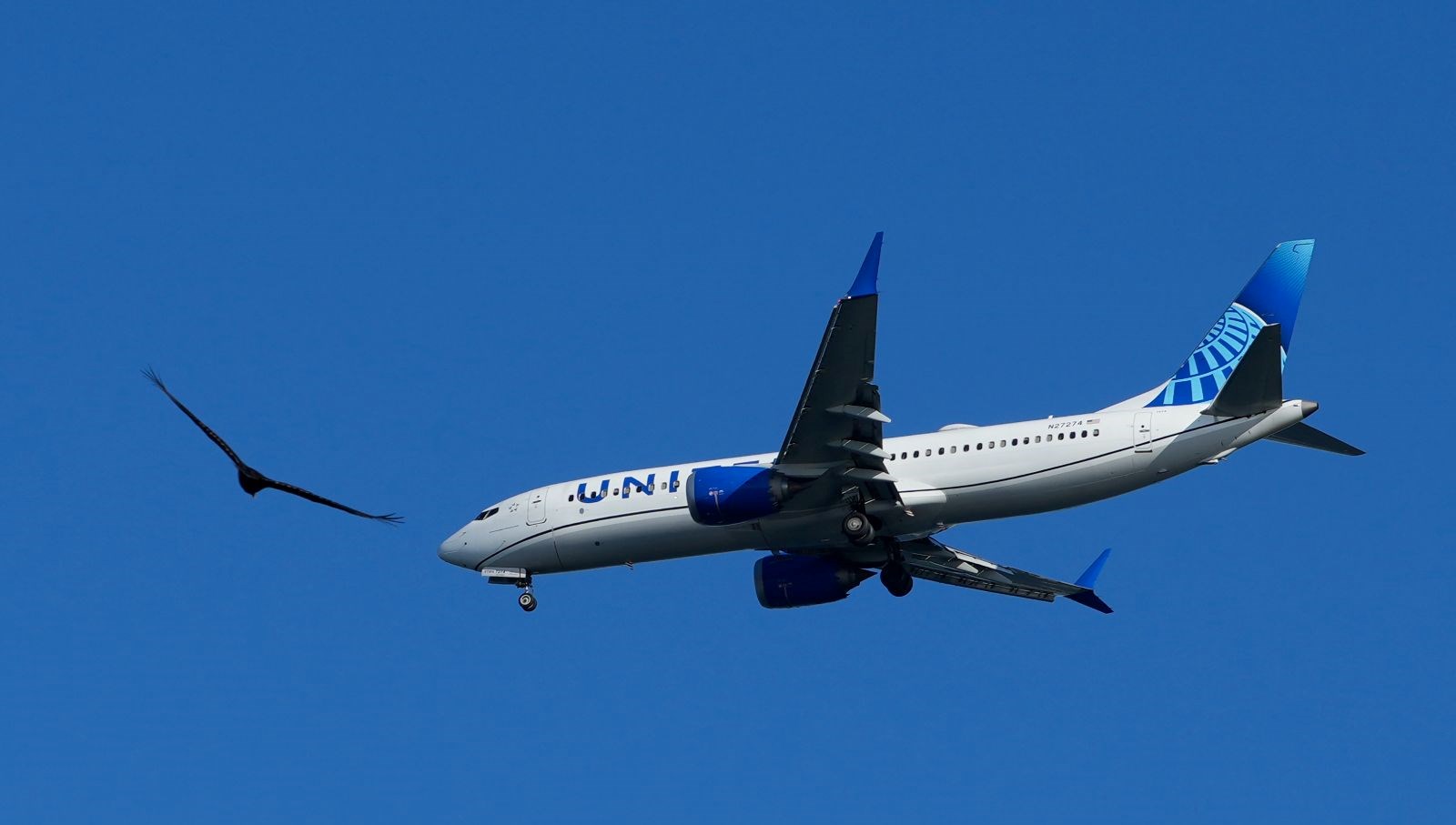 pilot pasaportunu unuttu ucak geri dondu j2L5MWPs