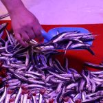 ramazan ayinda baliga ilgi azalinca fiyatlar dustu g3lcdW9i