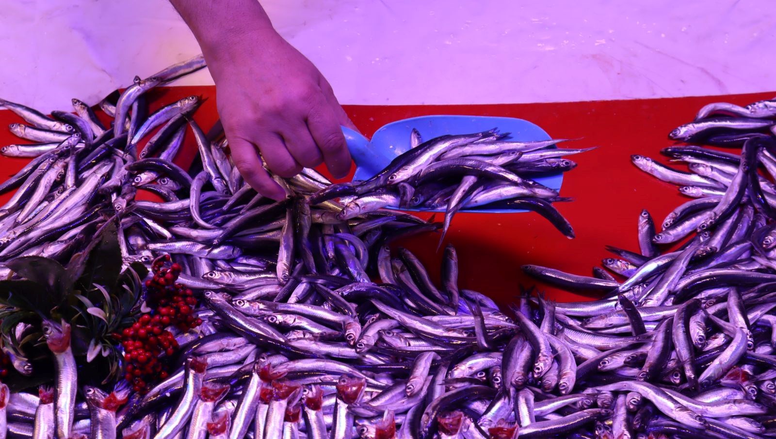 ramazan ayinda baliga ilgi azalinca fiyatlar dustu g3lcdW9i