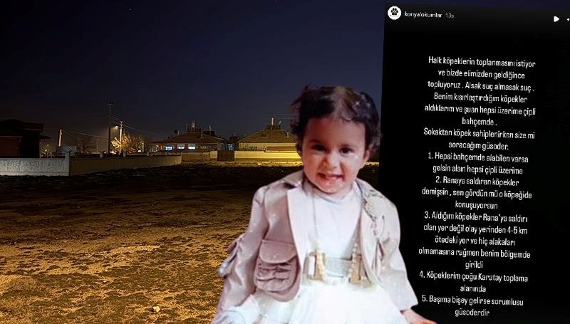 Rana'nın Ölümcül Kaderi: Köpekler Kaçırıldı mı, Soru İşaretleri Arttı mı? 71 reaksiyon ceken tez ranayi hayattan koparan kopekler kacirildi mi