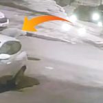 rogar fareleri internet kablolarini calip kacti 386dVEZv