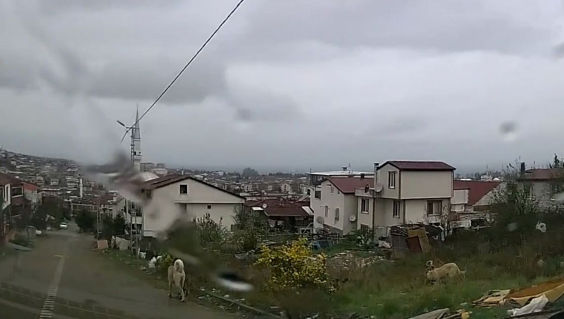 sahipsiz kopeklerin saldirdi 5 yasindaki cocuk agir yaralandi OEt8dGmL