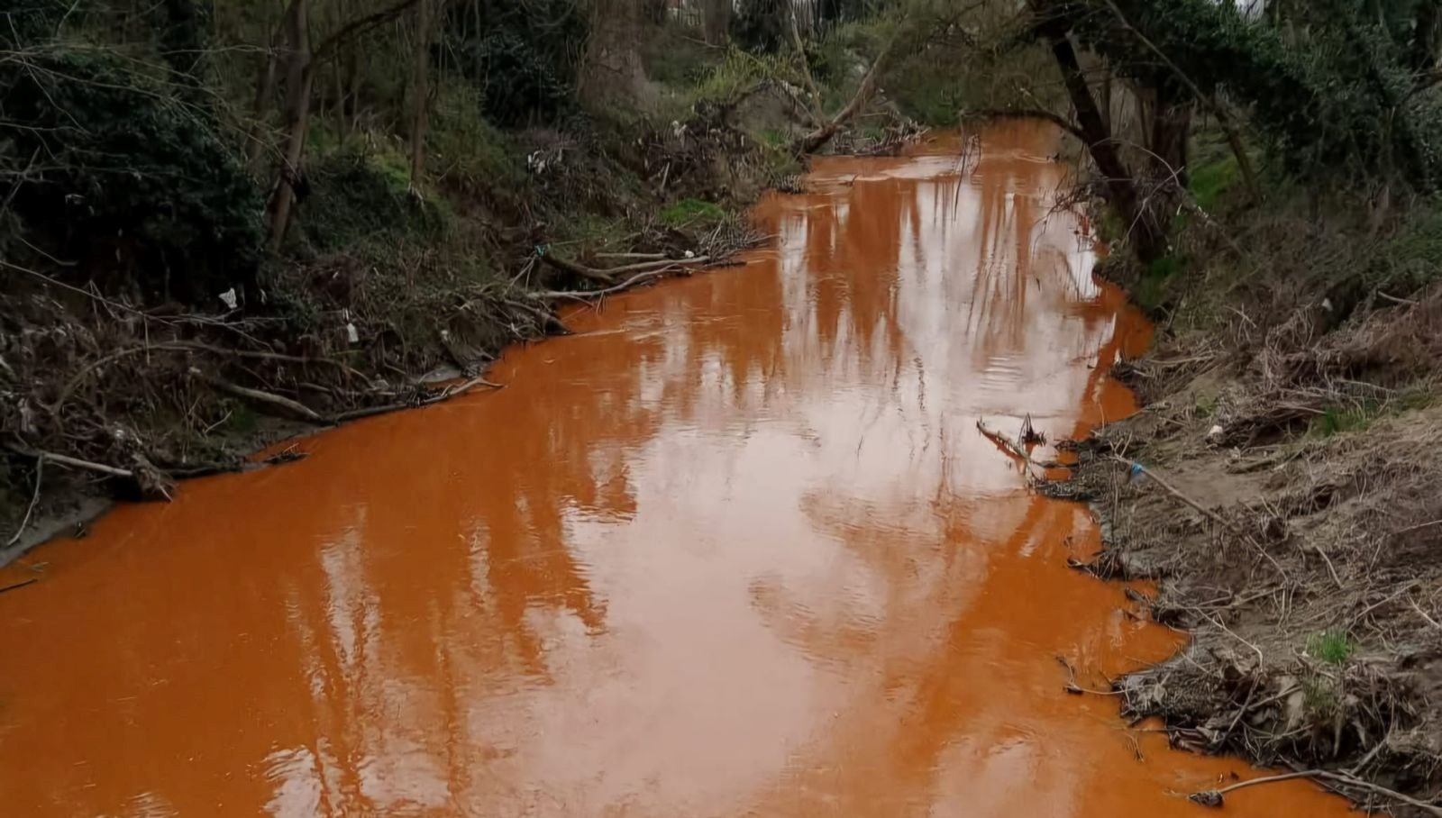 sakaryada derenin rengi kirmiziya dondu