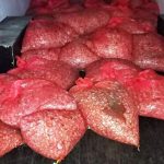 samsunda15 ton kacak midye ele gecirildi JKsgkpBy