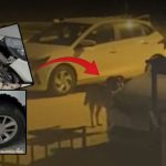 sokak kopekleri arabasi paramparca etti hasarin bedelini belediyeden istedi Zi52n5uu