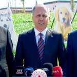 sokak kopekleri tartismasi icisleri bakanligi 81 ile mufettis gonderdi OmbIBIaV