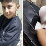 sokak kopeklerinin saldirdigimurat agir yaralandi 1ptc5Lia