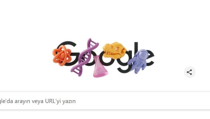 stem alanindaki bayanlar nedir googledan stem alanindaki kadinlar ile ilgili doodle ea7QbGjF