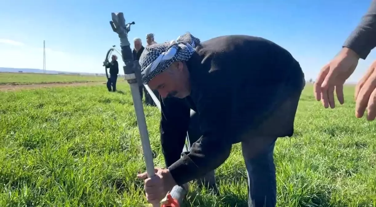 suructa ciftciler sulama fiyatlarina reaksiyon gosterdi lcWV92m2