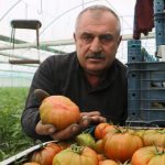 tarlada 28 tl marketlerde 60 tlyi buluyor 8KH5Dm9z