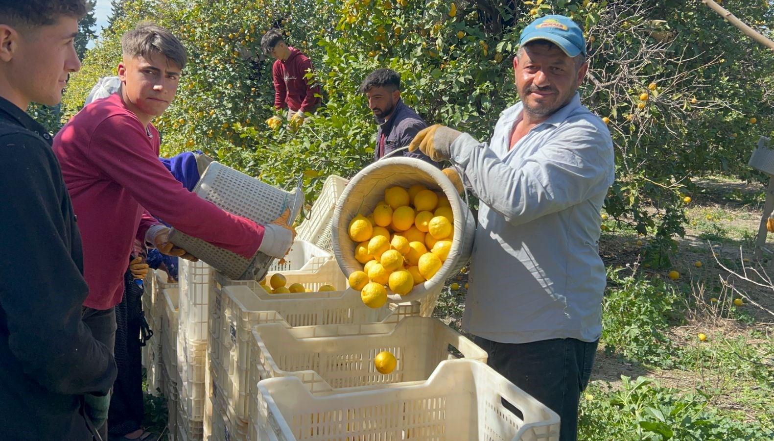 tarlada kilosu 15 markette 25 lira bahcede calisan calisanlarsa gunluk bin tl kazaniyor Iv21rE8j