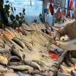 tezgahta ramazan rahmeti yasaniyor balik fiyatlari tabana inmis vaziyette 2BlyGSXm