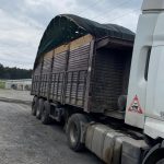 tir surucusunun feci vefati JshjckWD