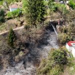 trabzonda ortu yangininda 4 donum alan ziyan gordu CuzJAI1L