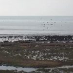 turkiyenin en buyuk golu tehlike altinda onemli su kaybi yasaniyor Rt2RRuHS