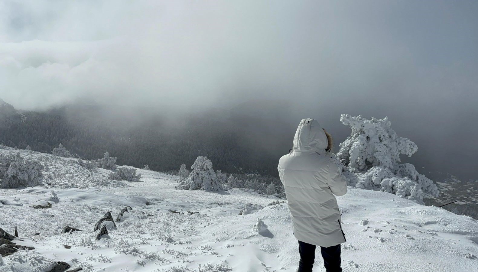 turkiyenin en soguk ili sicaklik sifirin altinda 11 dereceye dustu SEOesySL