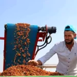 turkiyenin kuru uzum ihracati yuzde 13 artis gosterdi 252w62tz