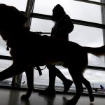 ucaga alamayiz dediler kopegini havaalani tuvaletinde oldurdu wAJ9OSzg