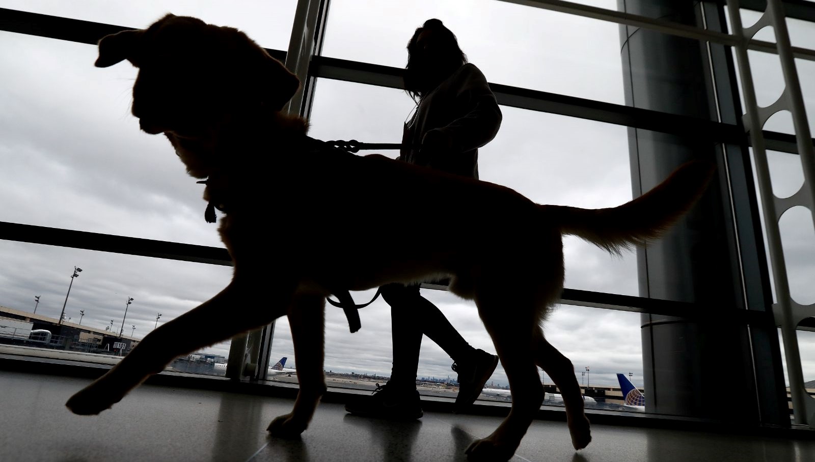 ucaga alamayiz dediler kopegini havaalani tuvaletinde oldurdu wAJ9OSzg