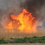 ulusal parkta yangin alevler metrelerce yukseldi ZV4k28rd