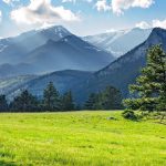 uzmani acikladi agriyi hafifletici bir tesiri var Wff4FD8B