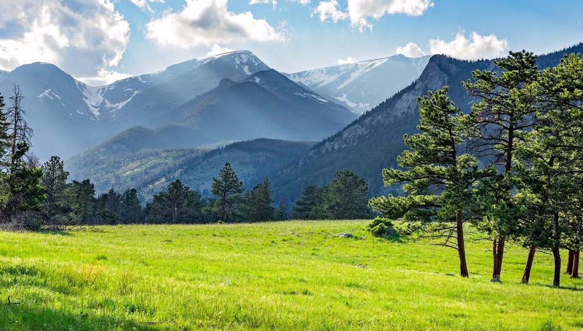 uzmani acikladi agriyi hafifletici bir tesiri var Wff4FD8B