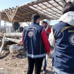 vanda 4 sistemsiz gocmen yakalandi x1kZw1Zf