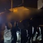 vanda gocmen kacakciligi operasyonu 14 gozalti TtWyuDFr