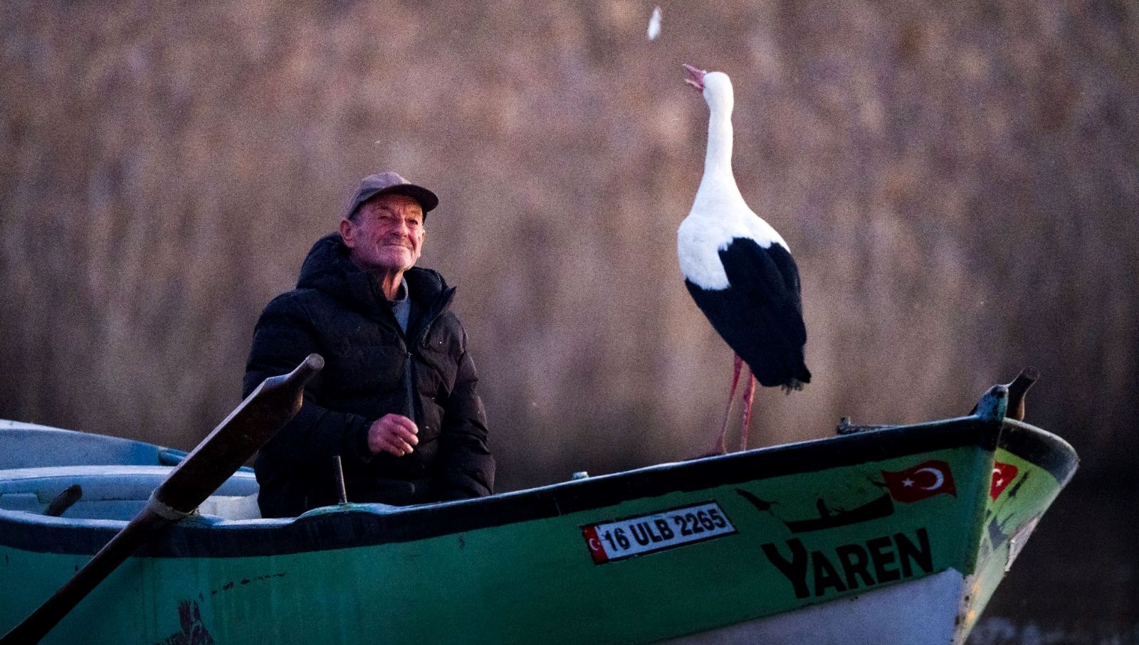 yaren leylek geldi h8pB2Rh7