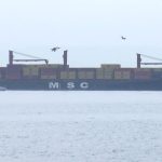 yesilkoy kiyida kargo gemisi karaya oturdu 3emNNJRl