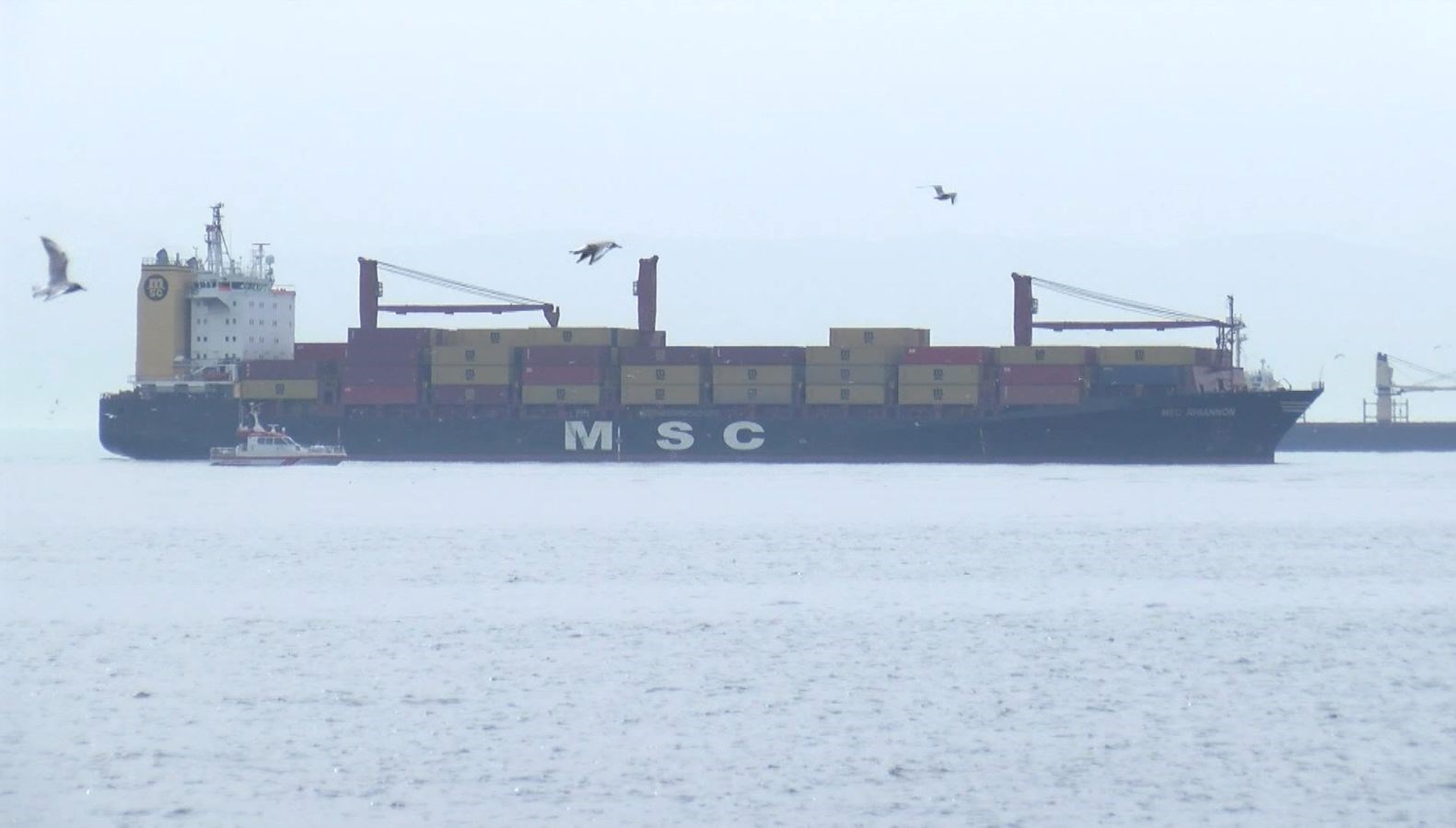 yesilkoy kiyida kargo gemisi karaya oturdu 3emNNJRl