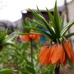 yilin 20 gunu hayatta kalabiliyor koparana 244 bin lira ceza WPbzRBFI