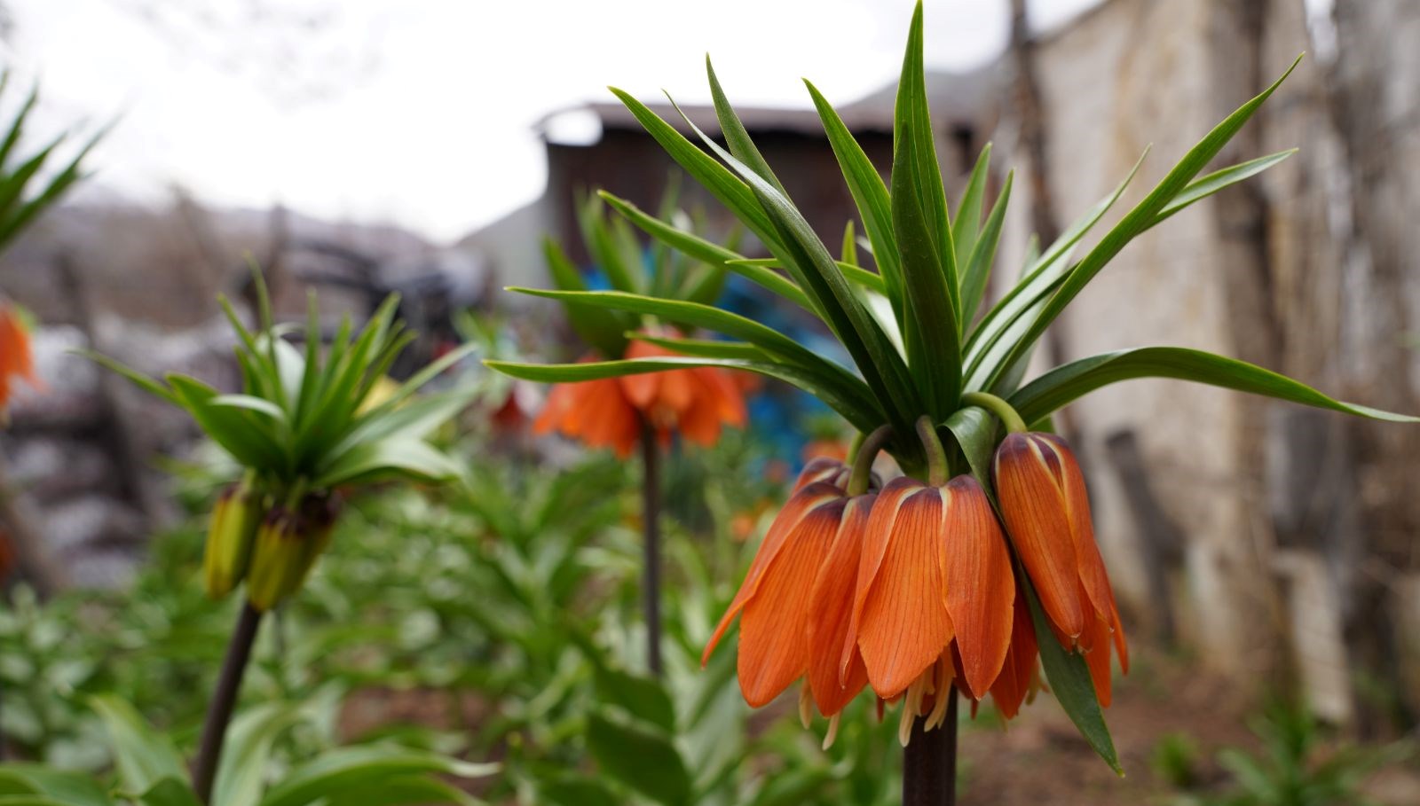 yilin 20 gunu hayatta kalabiliyor koparana 244 bin lira ceza WPbzRBFI