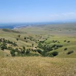 yirtici tabiatta uc yildir kayiplar baba ve cocuklarini arama calismalari genisliyor KYpZkAQ2