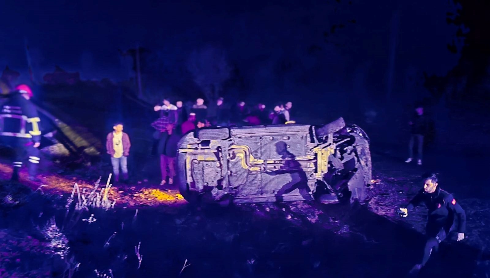 Domuz Kaosu: Başıboş Sürü Kazaya Yol Açtı, 5 Kişi Yaralandı 71 yola cikan domuz surusu kazaya neden oldu 5 yarali kNF4iV3s