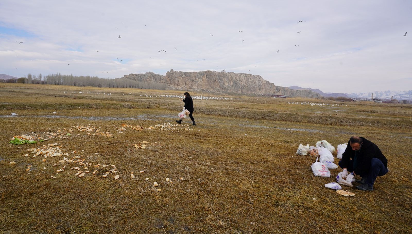 17 yildir ekmek kirintisi topluyor allah istegi icin bu isi yapiyorum rU8r4zQr