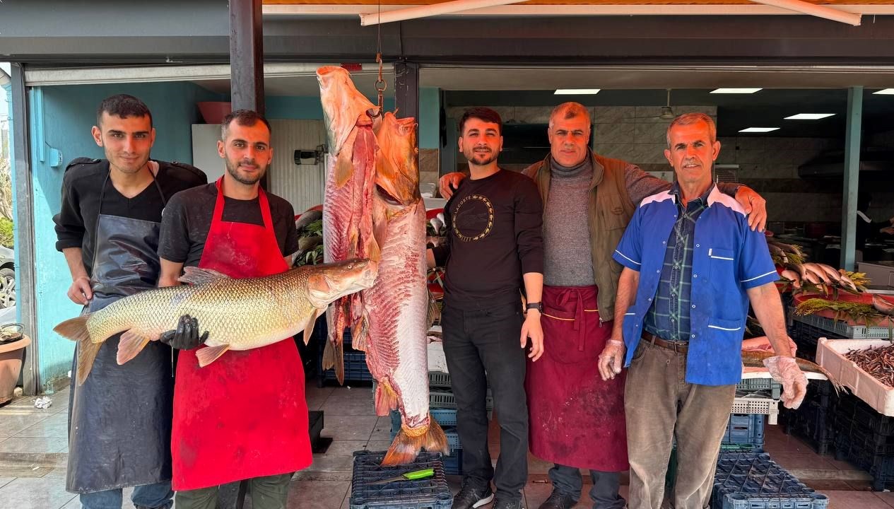 25 50 ve 100 kiloluk 3 turna baligi yakaladi 1 saat icerisinde tukendi