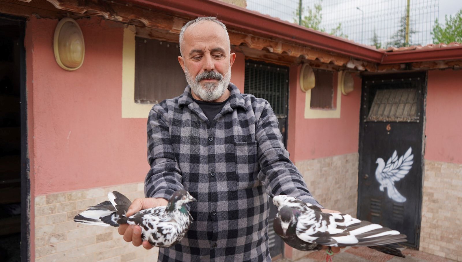 42 yıllık hobisi, profesyonel tesise dönüştü: Vilayet dışından da ağır talep var 69 42 yillik hobisi profesyonel tesise donustu vilayet disindan da agir talep var