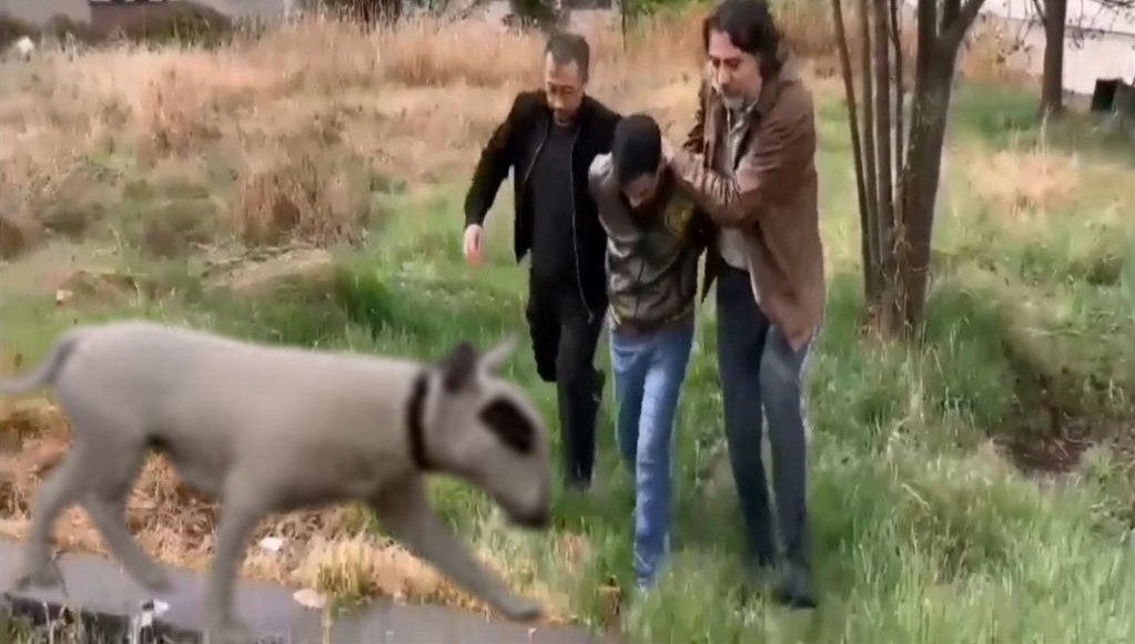 430 bin lira kıymetindeki şampiyon köpeği çalan hırsız yakalandı 71 430 bin lira kiymetindeki sampiyon kopegi calan hirsiz yakalandi u8XkpBRC