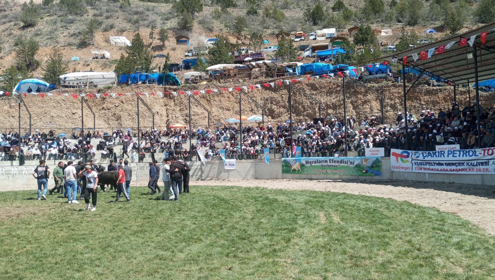 500 kiloluk boga bakicisini hastanelik etti 4fW4AE4s