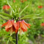 500 kilometre yol geldiler lakin dokunamadilar yalnizca 20 gun canli kaliyor UUNG5bEu