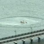 abdde helikopter hudson irmagina dustu 1vOj6liO