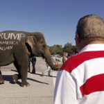 abdli cumhuriyetciler dehset icinde 2026da kan banyosu gelecek 1LBp6sxY