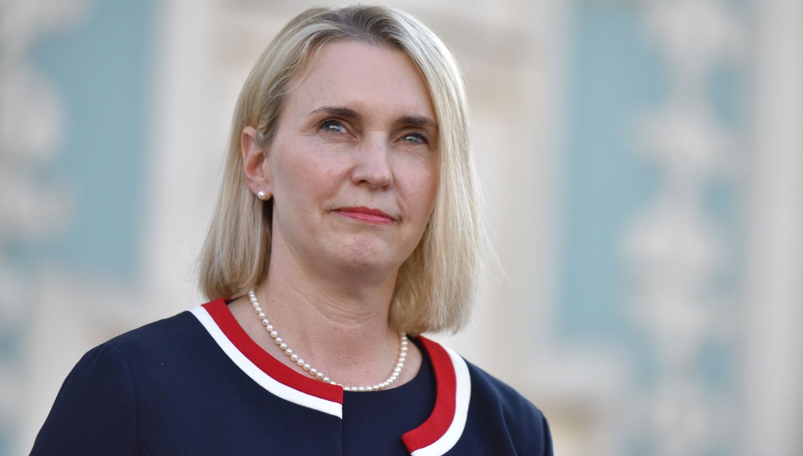 abdnin ukrayna buyukelcisi istifa etti