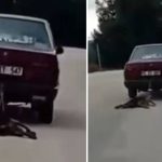 arabanin ardina bagladigi kopegi surukledi NGgiWaXX