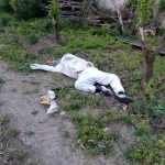 ari sokmasiyla hayatini kaybetti 2eb4EEIJ