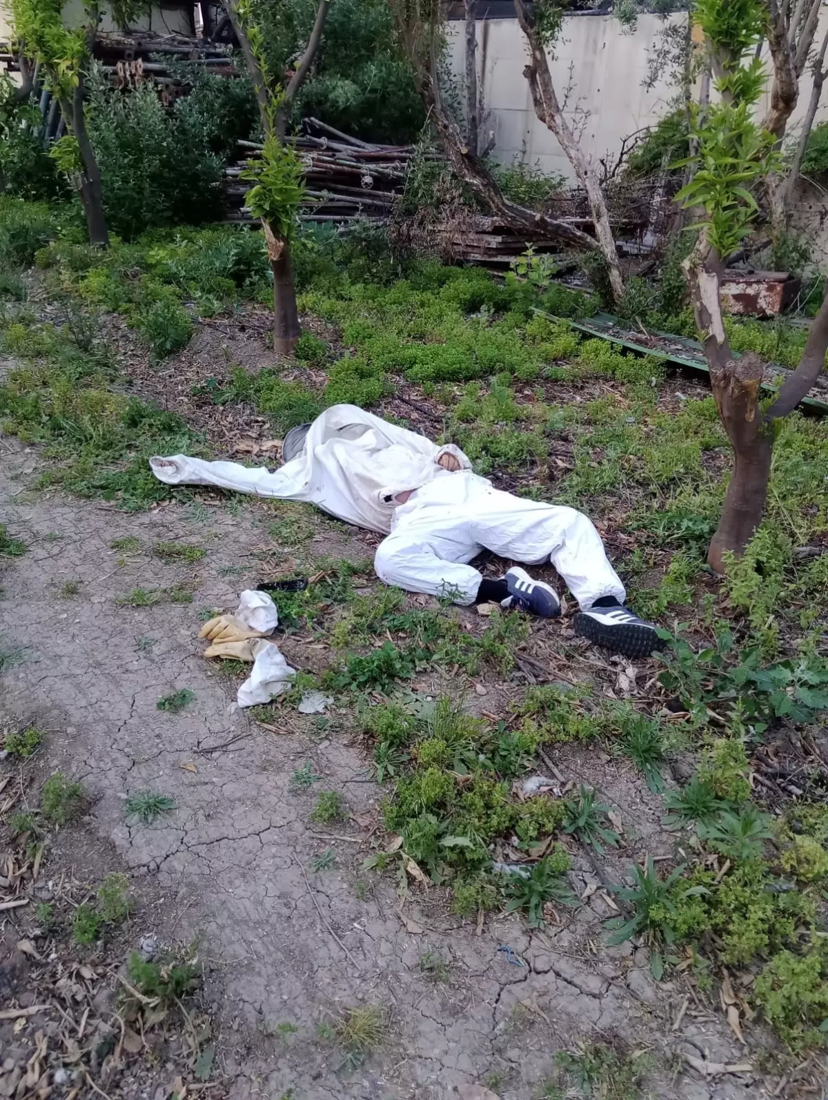 ari sokmasiyla hayatini kaybetti 2eb4EEIJ