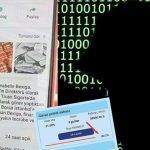 aydin cinede her 100 sahistan biri dolandirildi 8IAFAhey