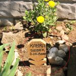 babasinin mezarinin yaninda gorunce polise haber verdi gercek ortaya cikti jfnnn2TU