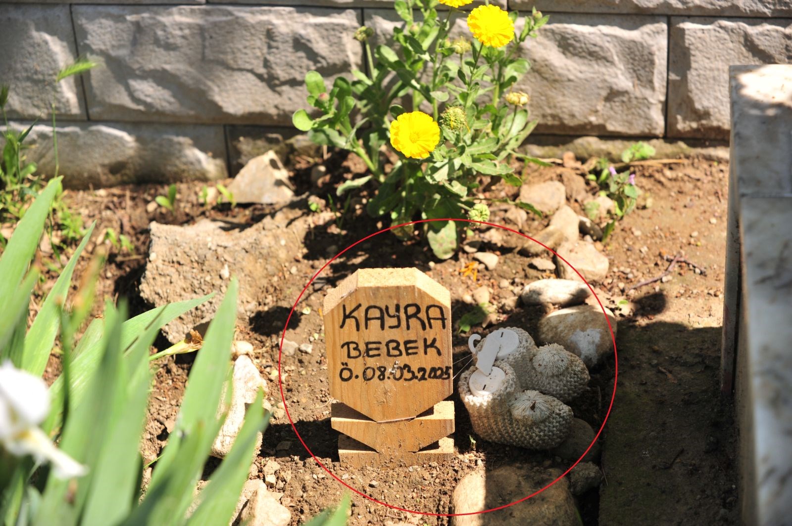 babasinin mezarinin yaninda gorunce polise haber verdi gercek ortaya cikti jfnnn2TU